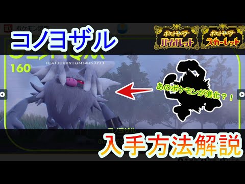 ポケモン - こよ コノヨザル｜ポケモン図鑑SV｜ポケモン徹底攻略