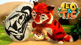 Leo and Tig 🦁 All episodes in a row 🐯 Funny Family Good Animated Cartoon for Kids