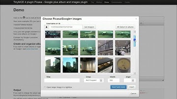 TinyMCE 4 plugin Picasa - Google plus albums and images