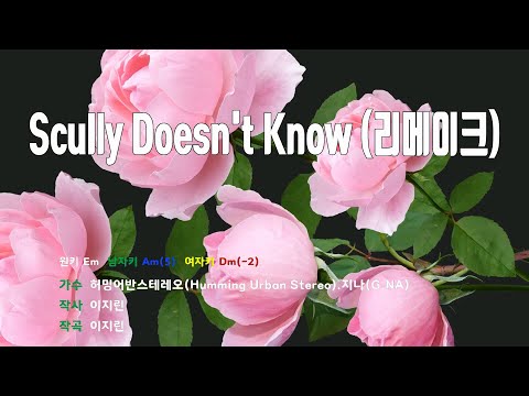 [은성 반주기] Scully Doesn't Know (리메이크) - 허밍어반스테레오(Humming Urban Stereo).지나(G.NA)
