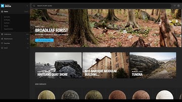 How to open QUIXEL in UE5