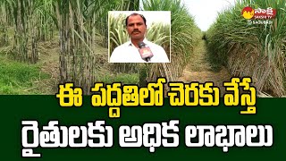 Sugarcane Farming  | Sugarcane Cultivation  | Shridhar Reddy Medak Dist @SakshiTVSagubadi