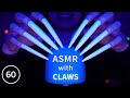 Asmr with claws changing triggers every 60 seconds scratching  tapping  massage etc  no talking