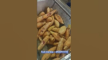 Máy Rửa, Cạo Vỏ Nông Sản TECH GARDEN, LH: 0935911775(ThS Trần Trinh)