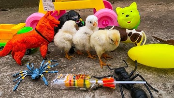 Chơi trò xe đẩy với gà con dễ thương, còn có con rùa, con chó và các đồ chơi con vật - Part 178