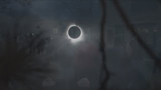 How did Buffalo Zoo animals react to the total solar eclipse?