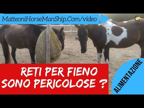 Video: Le fosse di letame sono pericolose?