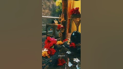 🥀Sawan Status Video 😍 Sawan 2025 Video🌹Mahadev status ❣️ bholenath status 💫 Mahakal status #shorts🙏🏻