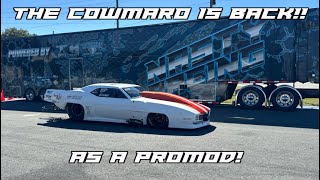 видео: COWMARO ВЕРНУЛСЯ... В КАЧЕСТВЕ ПРОМОМОДА!!! картинка: COWMARO ВЕРНУЛСЯ... В КАЧЕСТВЕ ПРОМОМОДА!!!