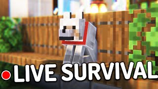 🔴 Minecraft Low-Key Survival #LIVE