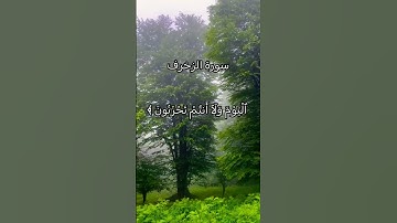 القرآن الكريم محمد صديق المنشاوي #اكسبلور #تلاوة_خاشعة #القرآن_الكريم #راحة_نفسية #المنشاوي_الباكي
