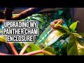 UPGRADING My Panther Chameleon Enclosure | Kristenleannimal