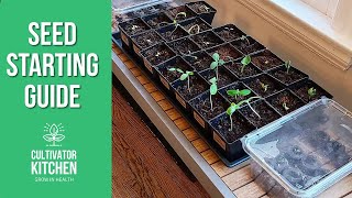 Beginner Seed Starting Made Easy!  Low Budget & No Lights