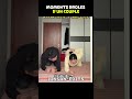 Moments drôles d'un couple #couple #respect #edits
