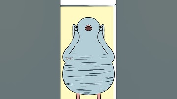 Baby monitor lizards are independent from birth. They hunt small bird eggs and other easy prey.