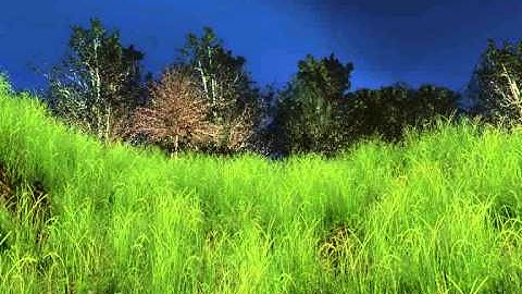 Procedural Terrain: final rendering