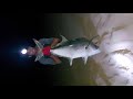 Giant Trevally Fishing  67 lbs