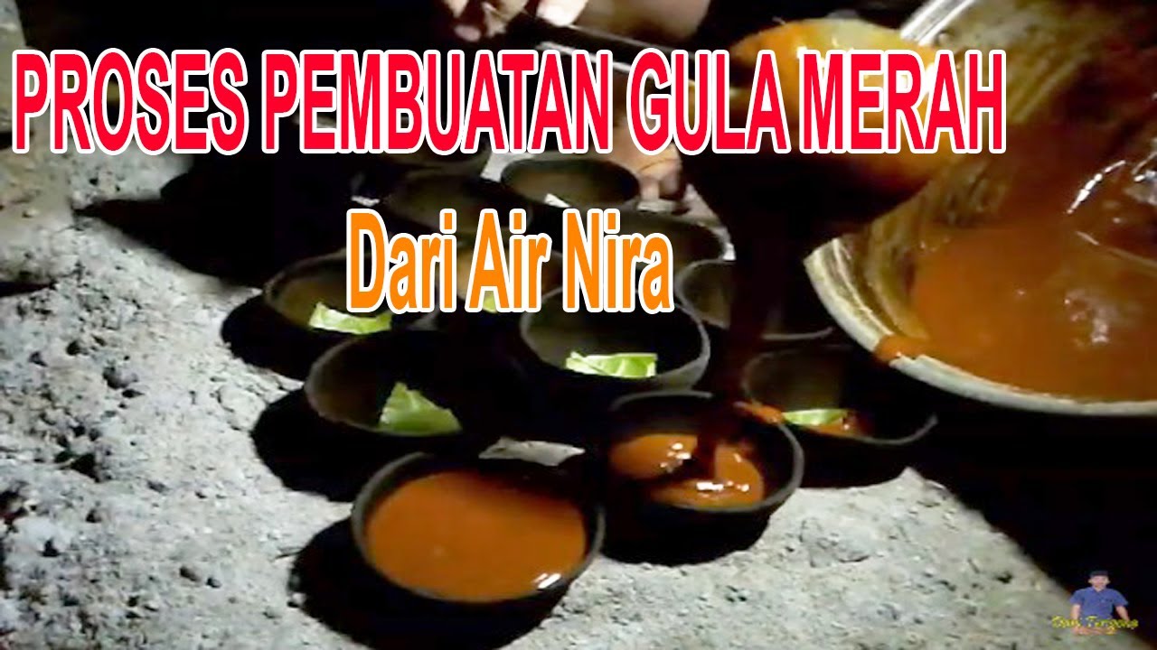 PROSES PEMBUATAN GULA AREN 