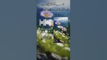 والتين والزيتون وطور سنين #سورة_التين#قرآن #قرآن_كريم #راحة_نفسية #عبد_الباسط_عبد_الصمد #حالات
