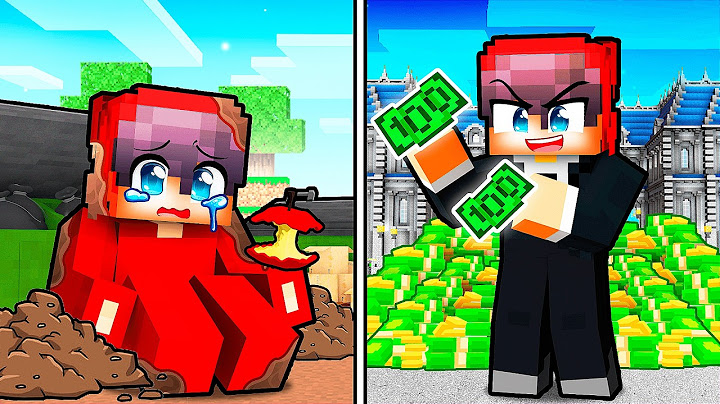 $1 vs $1,000,000 Cash in Minecraft