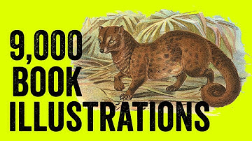 How To Use Public Domain Images From Books For Print on Demand