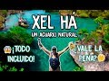 ¡UN DÍA EN XEL HÁ! ¿VALE LA PENA?💰🤔 | MPV en México