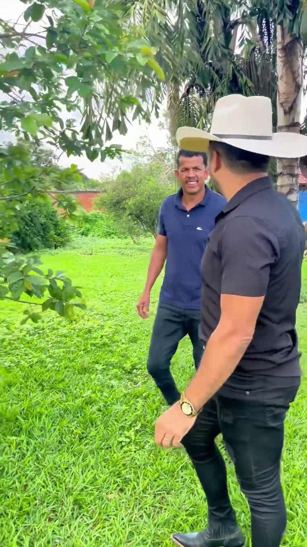 Leãozinho do forró pegando goiaba na sua fazenda #boanoiteee #leaozinho