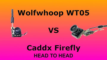 Head to Head - Caddx Firefly VS Wolfwhoop WT05