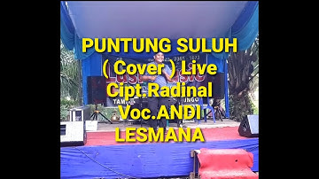 LAGU DAERAH JAMBI PUNTUNG SULUH - VOC.ANDI LESMANA - CIPT.RADINAL