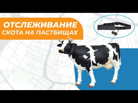 Спутниковое отслеживание скота на пастбищах