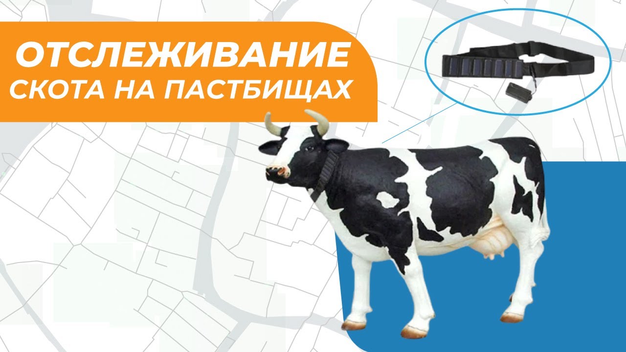 Спутниковое отслеживание автомобиля