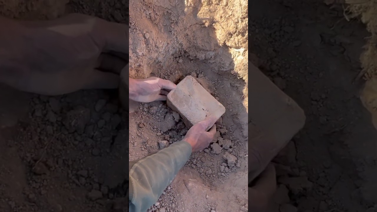 Extract treasure Box [ GOLD ] 