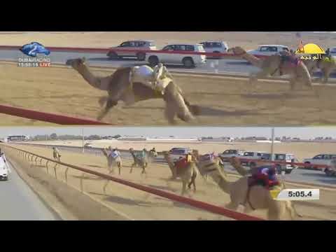 الشوط 18 مفجر ل جاسم مبارك الوهيبي مهرجان ولي عهد دبي السبت 2018 2 10 المرموم حقايق