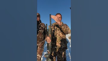 Elk Rifle Setups: What The Pros Use