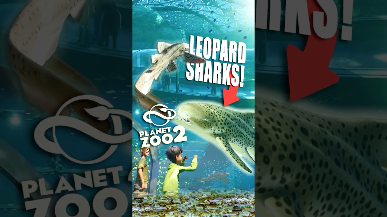 NEW LEOPARD SHARKS & EAGLE RAYS IN PLANET ZOO 2! 🌊 #planetzoo #news #newgame