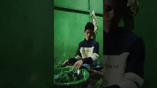 Download Lagu JEJAKA BORNEO) bangun pagi mau masak sayur dulu MP3 Download Lagu JEJAKA BORNEO) bangun pagi mau masak sayur dulu MP3