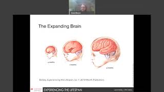 PSYCH 276 Developmental Psychology: prenatal development