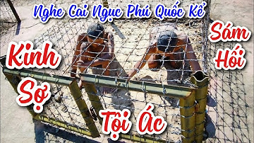 Chính Mồm Tên Cai Ngục Bảy Nhu Kể Chuyện Tội Ác Nhà Tù Phú Quốc | Chuyện Xưa Nay - Chiến Hữu Audio