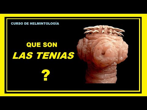 Vídeo: Características Generales De Las Tenias: La Clase Y Estructura De La Tenia