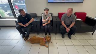 Meet Blondie: Adoption Tuesday! by Williams Toyota Of Binghamton 1 view 9 hours ago 2 minutes, 56 seconds