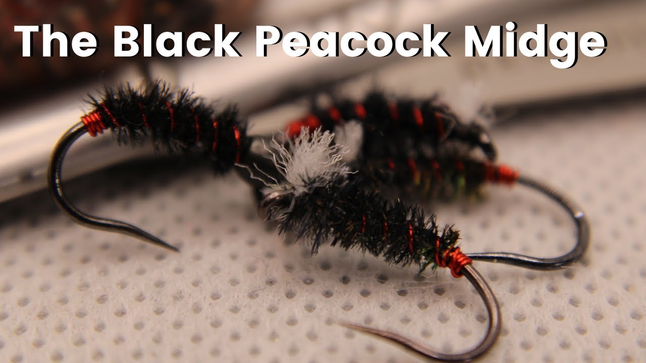 The Black Peacock Midge 