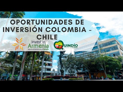 Webinar: Oportunidades de