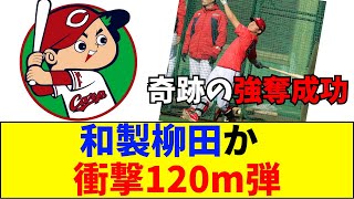 【速報】【神展開】くじ外して「柳田×誠也」の怪物を獲得！平川蓮の120m弾に広島ファン狂喜乱舞「ソフバンに行かなくて正解」【ネットの反応】