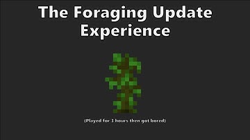 The Foraging Update Experience