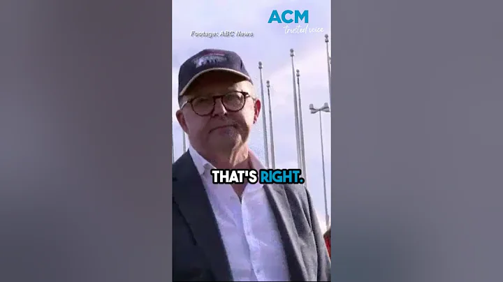 Albanese calls national cabinet to end violence amid claims he gaslit event organiser