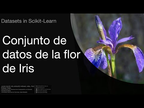 Conjunto de datos de la flor Iris