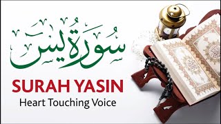 Surah Yaseen/Surat Ya Sin -Abdallah kamel