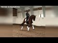 Выездка - прекрасна/Dressage is beautiful