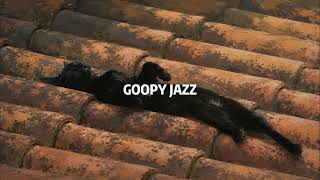 Nap napp... ☀️ Relaxing Afternoon Jazz for Reading, Studying & Peaceful Moments screenshot 5