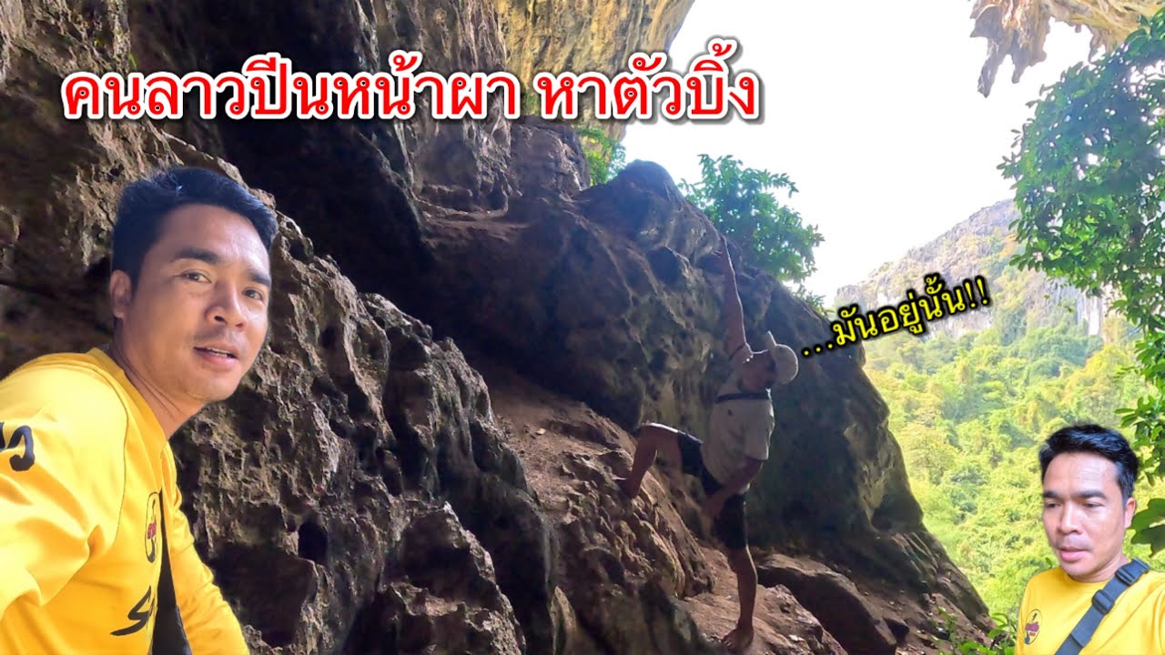 ชมวิถีคนลาว ปีนหน้าผาหาของป่า ดักสัตว์ป่า 